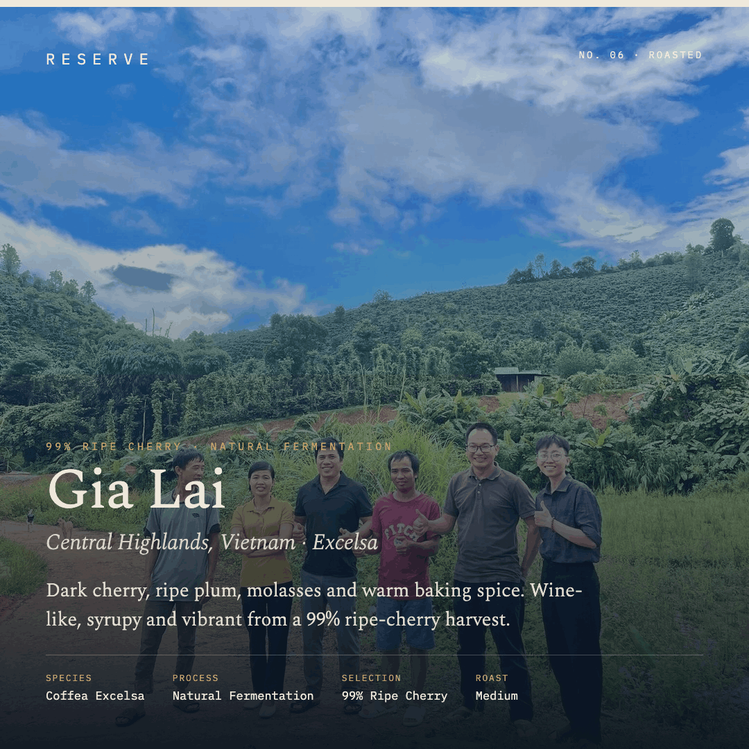 Reserve Roasted Gia Lai Central Highlands Vietnam Natural Fermentation Excelsa