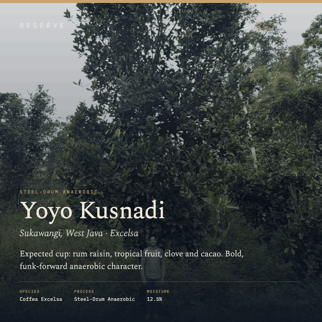 Reserve Unroasted Yoyo Kusnadi Sukawangi West Java Steel Drum Anaerobic Excelsa