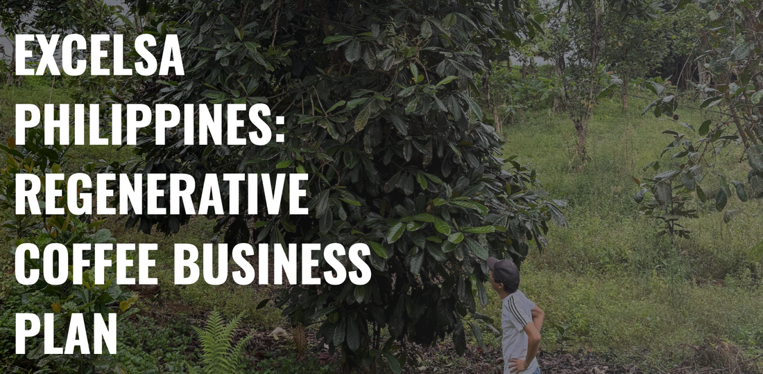 The Best Cup of Coffee in the World