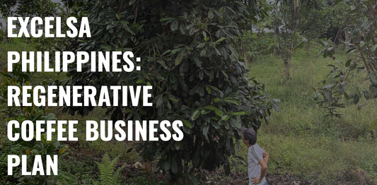 The Best Cup of Coffee in the World