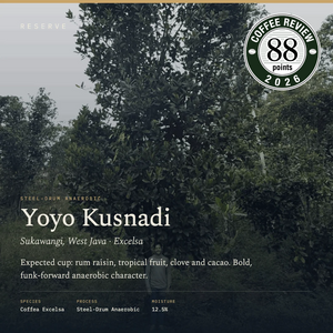 Unroasted Yoyo Kusnadi Sukawangi West Java Steel Drum Anaerobic Excelsa