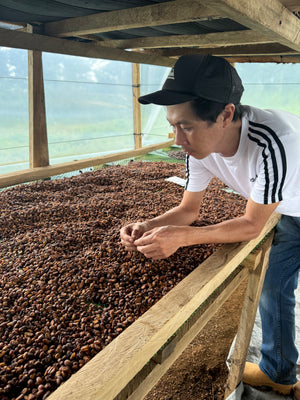 Roasted Philippines Excelsa