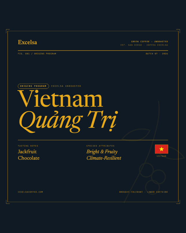 Unroasted Green Excelsa Quang Tri Vietnam