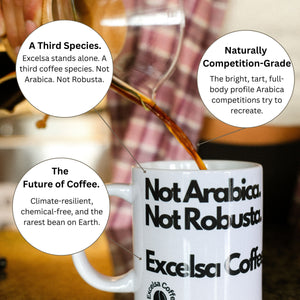 Excelsa Coffee Whole Bean Medium Roast 12 oz Low Acidity Coffee