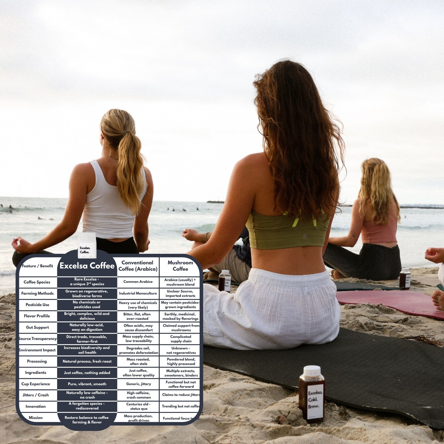 Excelsa Coffee Whole Bean Medium Roast 12 oz Low Acidity Coffee