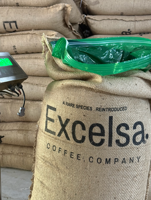 Unroasted Quang Tri Natural Process Green Excelsa