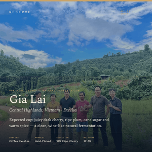 Reserve Unroasted Green Gia Lai Central Highlands Vietnam Natural Fermentation Excelsa