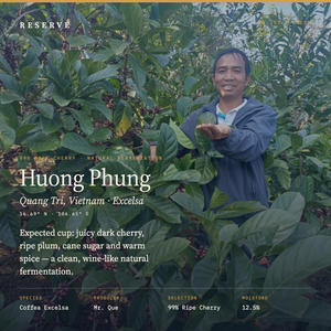 Unroasted Huong Phung Quang Tri Mr. Que Vietnam Natural Fermentation Excelsa