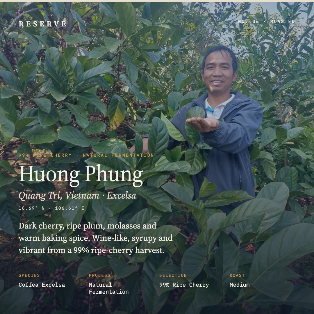 Roasted Huong Phung Quang Tri Mr. Que Vietnam Natural Fermentation Excelsa