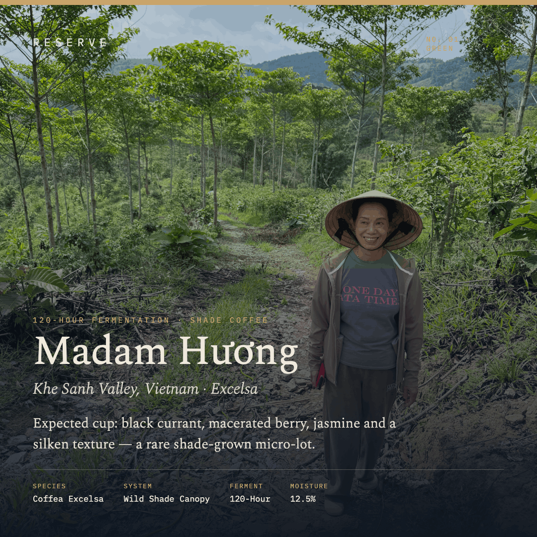 Unroasted Madam Huong's Khe Sanh Valley 120 Hour Fermentation Green Shade Coffee