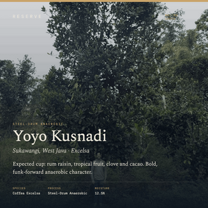 Reserve Unroasted Yoyo Kusnadi Sukawangi West Java Steel Drum Anaerobic Excelsa