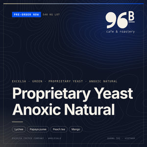 Unroasted 96B Excelsa Proprietary Yeast Anoxic Natural — Green (Pre-order now)